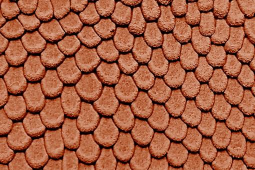 Echtleder-Stück - Viper-Prägung - Croupon