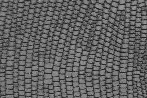 Echtleder-Stück - Baby-Snake-Prägung - Croupon