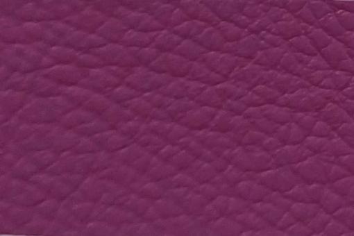 Echtleder - Summer Colours - Ganze Haut