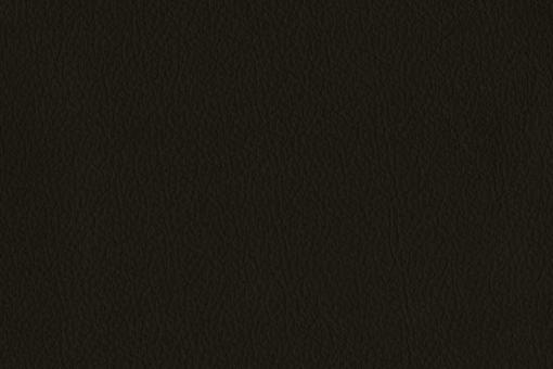 Anilinleder - Arizona - Ganze Haut