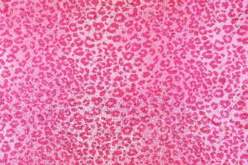 Tanzkleiderstoff Hologramm - Pink Baby Leo