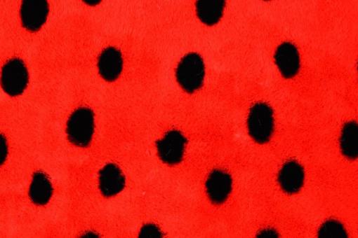 Roter Flausch-Fleece mit schwarzen Punkten