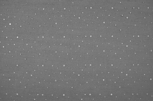 Organza Pailletten-Holo