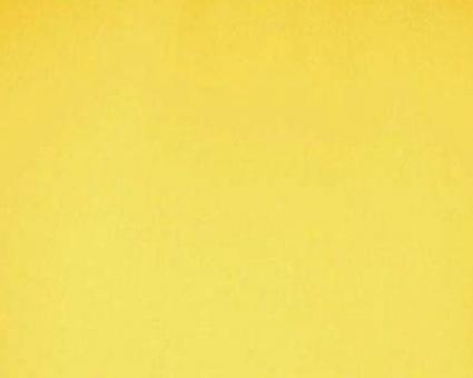 Fotohintergrund 255 x 480 cm - Gesäumt / Tunnel oben