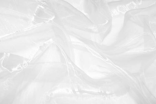 Glanz-Organza - Uni