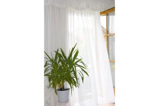 Voile lichtecht - 310 cm - Bleiband