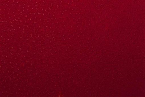 Baby Straußenleder Imitat - Premium