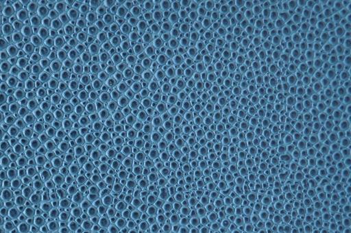 skai® Soshagro EN - Kunstleder - Mantarochen