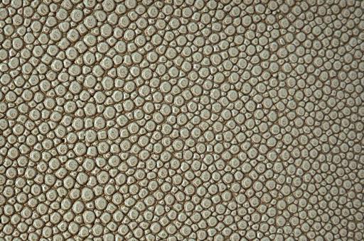 skai® Soshagro EN - Kunstleder - Mantarochen