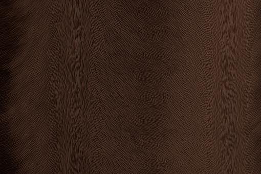 skai® Sofelto EN - Kunstleder - Animal Fascination