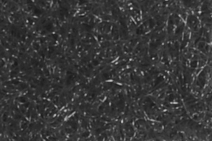 25 Meter Klettband - 20 mm breit - selbstklebend