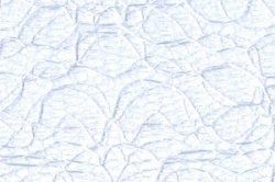 Laceband 40 mm - 20 Meter Rolle