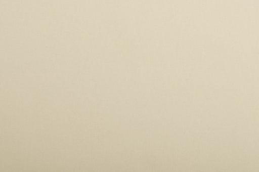 Fotohintergrund 275 cm - Natur - 1,0 Meter