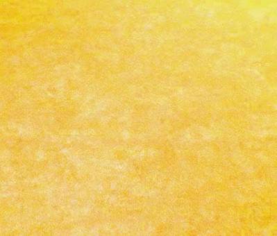 Fotohintergrund Bicolor 280 cm