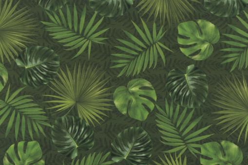 Outdoor-Stoff Dralon® - Green Jungle - 1,0 Meter