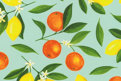 Outdoor-Stoff Dralon® - Digitaldruck - Citrus Fruit