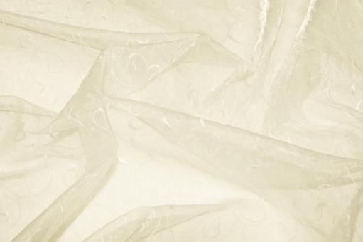 Organza Stoff mit Ranke bestickt - Champagner - 2,0 Meter