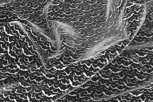 Satin - Fledermaus-Himmel