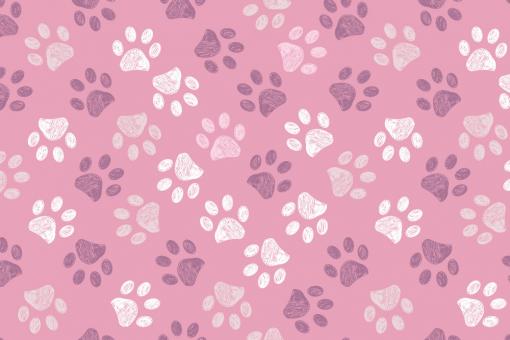 Nano-Softshell - Gib Pfötchen!