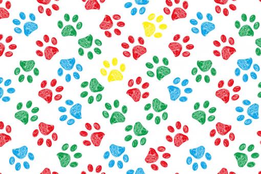 Nano-Softshell - Gib Pfötchen!