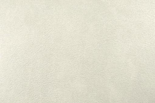 Echtleder-Haut Dallas - Haut ab 4 qm - Champagner