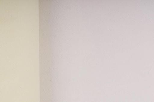 Tüll - Creme - 2,0 Meter