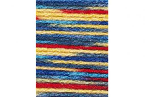 Bravo Strickwolle 50 g - Bunt