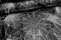 Schwarzer Pannesamt mit weißen Spinnennetzen bedruckt