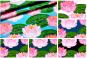 Farbtafel für den Frottee-Fleece Lotusblüten