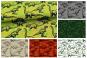 Farbtafel für den Nano-Softshell-Dinosaurier mit 6 Farbvarianten
