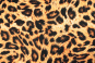 Tanzkleiderstoff - Leopard