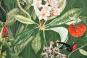 Dekostoff Digitaldruck - Kolibri-Dschungel