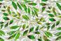 Dekostoff Leinenoptik - Sommerfrische Blätter - 280 cm