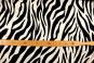 Cupro-Viskose - Desert Zebra