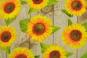 Outdoor-Stoff Dralon® - Digitaldruck - Sonnenblumen
