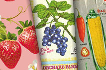 Dekostoffe Obst/Gemüse