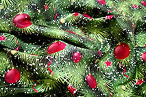 Weihnachten Sonstige