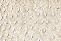 Strauss - Kunstleder