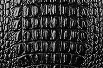 Krokodil - Kunstleder