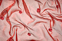 Organza mit Stickerei