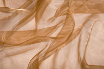 Organza