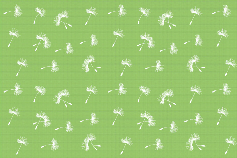 Blackout - Pusteblume - Grün/Weiß - 1,0 Meter 