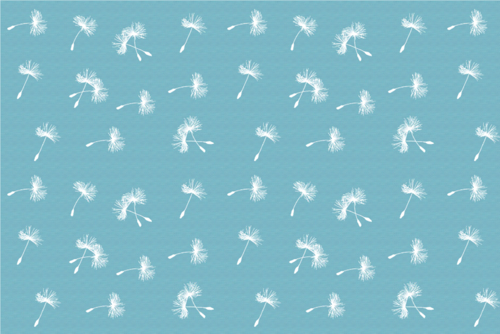 Blackout - Pusteblume Mint/Weiß