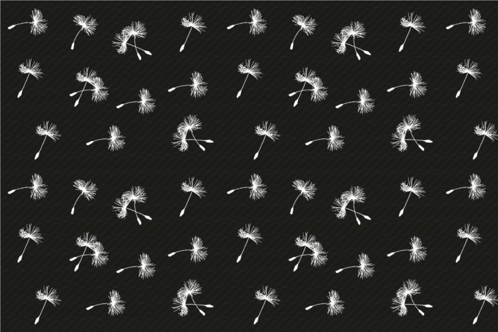 Blackout - Pusteblume Schwarz/Weiß