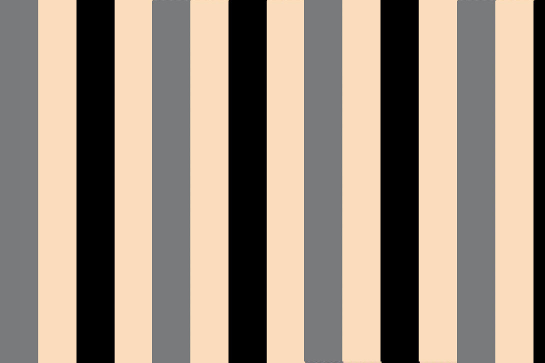 Dekostoff - Blockstreifen 6 cm - Leonardo Grau/Schwarz