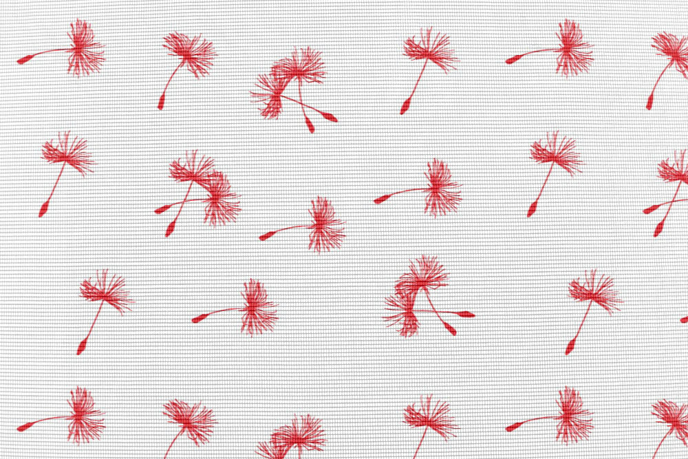 Moskitonetz-Stoff - Pusteblume