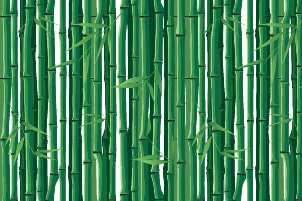 - Bambus