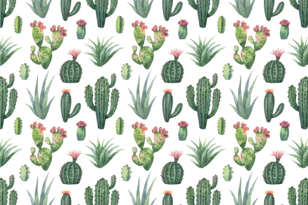 Nano-Softshell - Kaktus-Liebe Weiß