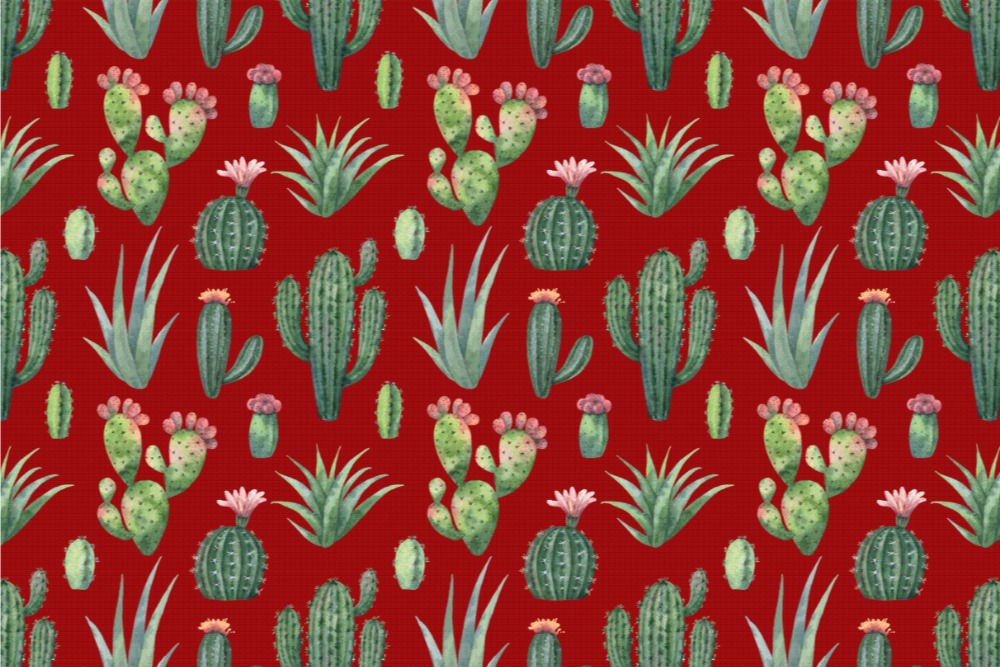 Nano-Softshell - Kaktus-Liebe Rot