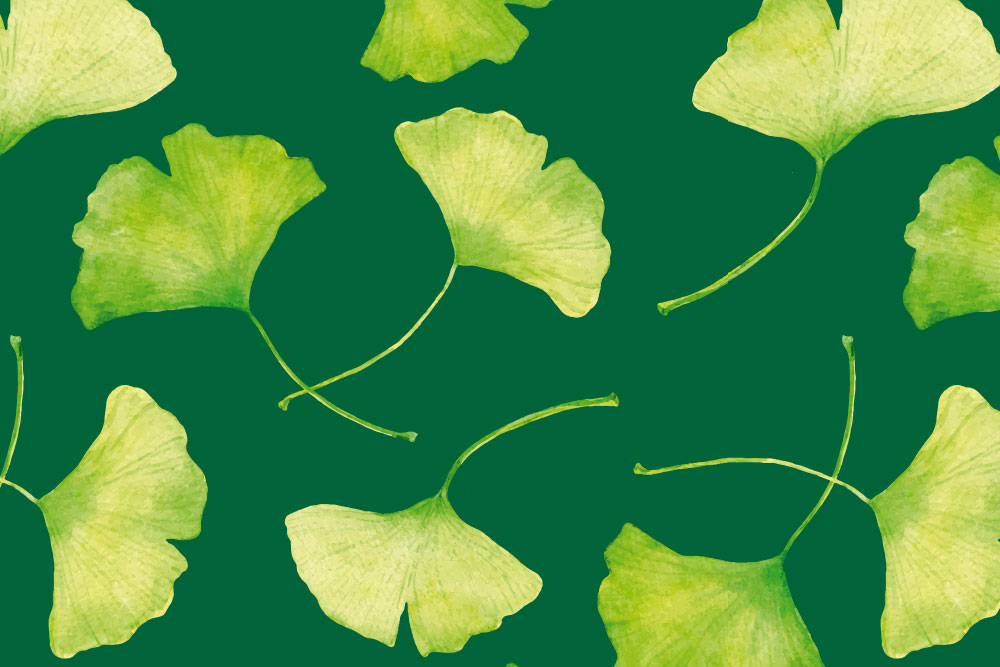 Wellness-Fleece - Ginkgo-Traum Grün